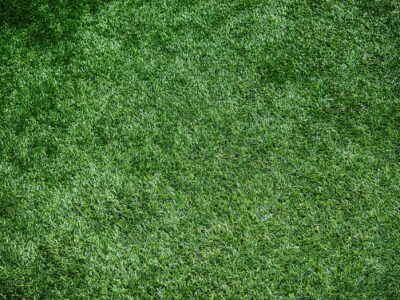 Beaconsfield landscaping ideas
