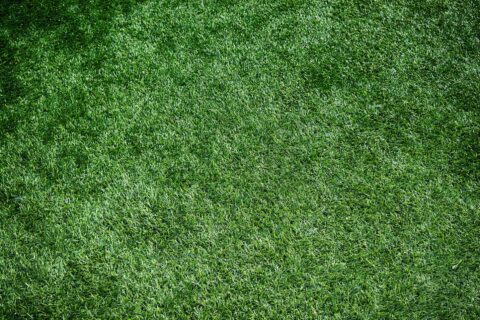 Grass Turf Fitter Beaconsfield