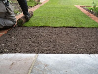 Lawn turf near me Beaconsfield