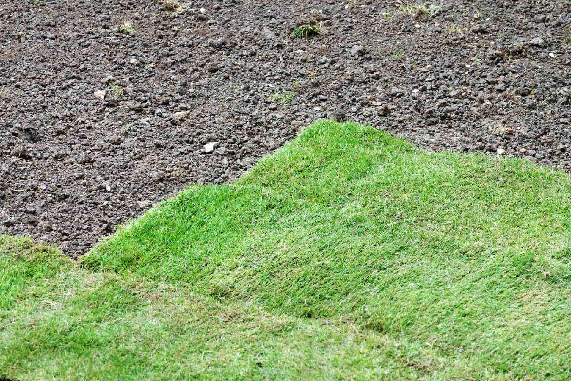 Artificial grass installation Maidenhead