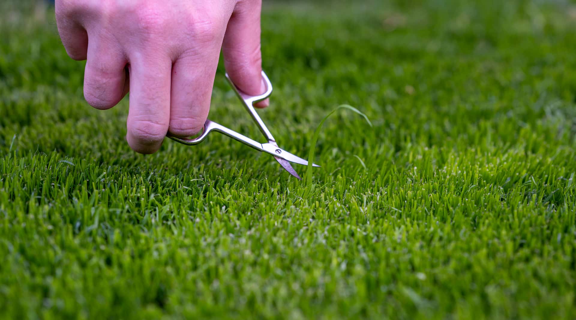 Artificial grass near me Maidenhead