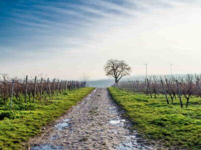 Farm road Wendover
