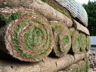 Turf suppliers near me Beaconsfield