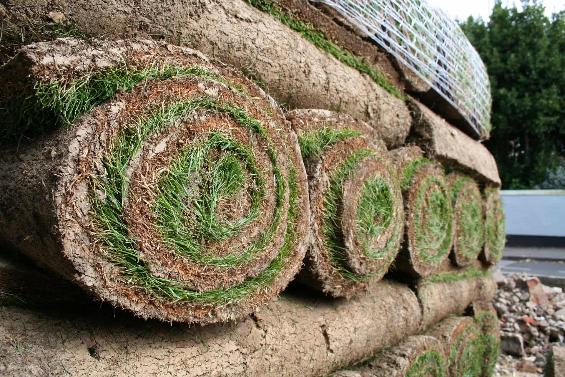 Turf installers near Turf installers near Beaconsfield